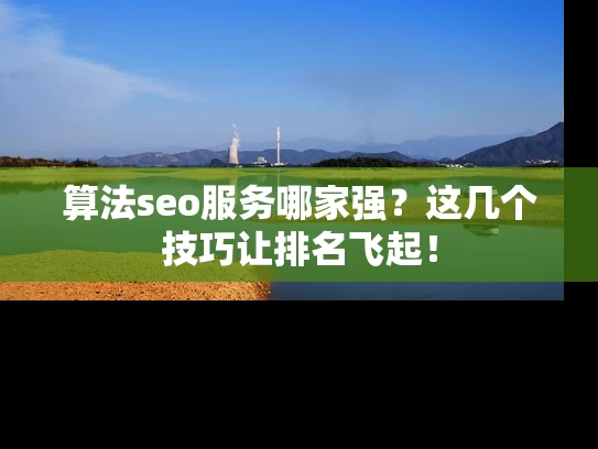 算法seo服务哪家强？这几个技巧让排名飞起！