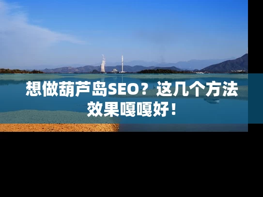 想做葫芦岛SEO？这几个方法效果嘎嘎好！