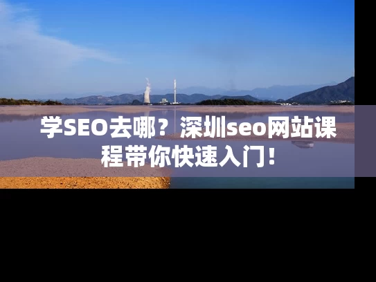 学SEO去哪？深圳seo网站课程带你快速入门！