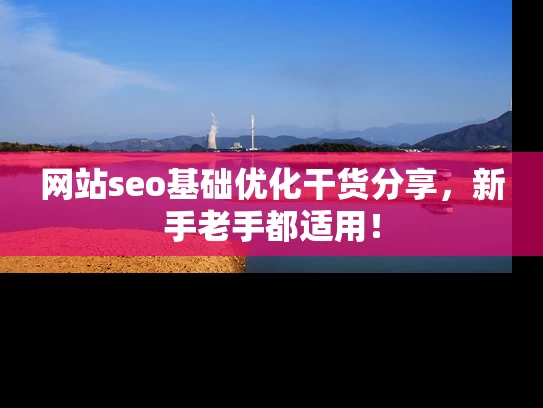 网站seo基础优化干货分享，新手老手都适用！