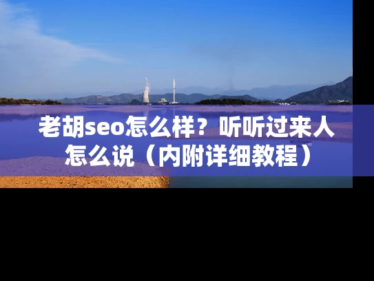 老胡seo怎么样？听听过来人怎么说（内附详细教程）