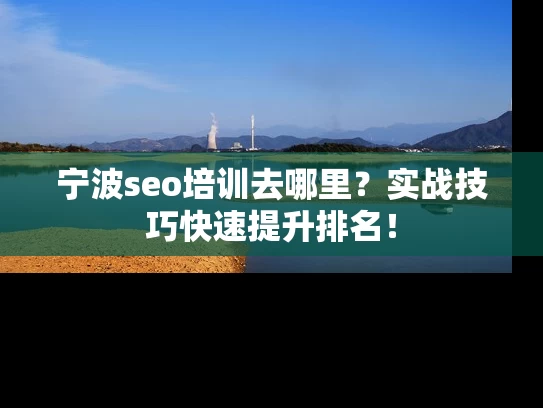 宁波seo培训去哪里？实战技巧快速提升排名！