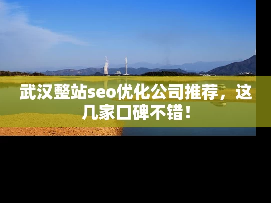 武汉整站seo优化公司推荐，这几家口碑不错！