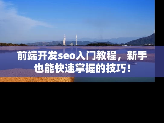 前端开发seo入门教程，新手也能快速掌握的技巧！