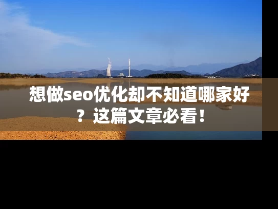 想做seo优化却不知道哪家好？这篇文章必看！