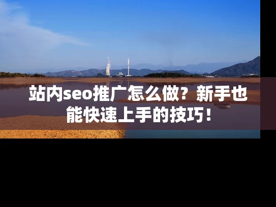 站内seo推广怎么做？新手也能快速上手的技巧！