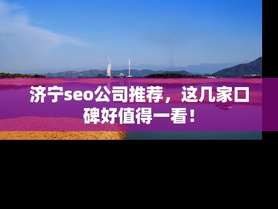 济宁seo公司推荐，这几家口碑好值得一看！
