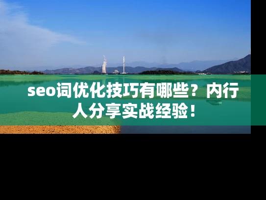 seo词优化技巧有哪些？内行人分享实战经验！