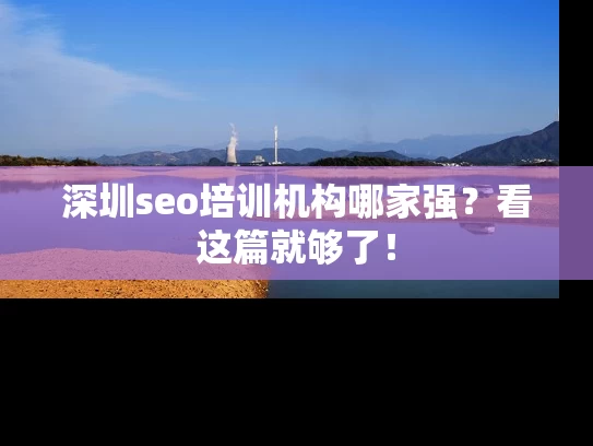 深圳seo培训机构哪家强？看这篇就够了！