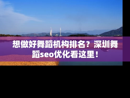 想做好舞蹈机构排名？深圳舞蹈seo优化看这里！