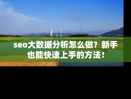 seo大数据分析怎么做？新手也能快速上手的方法！