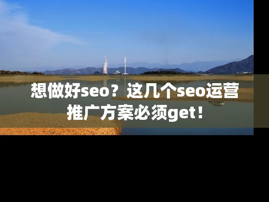 想做好seo？这几个seo运营推广方案必须get！