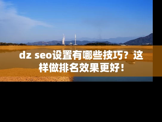 dz seo设置有哪些技巧？这样做排名效果更好！
