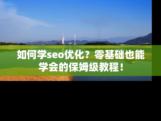 如何学seo优化？零基础也能学会的保姆级教程！