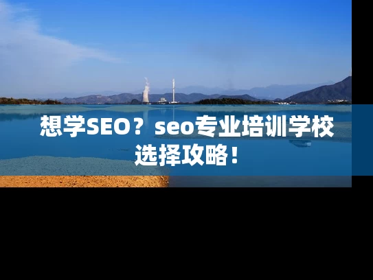 想学SEO？seo专业培训学校选择攻略！