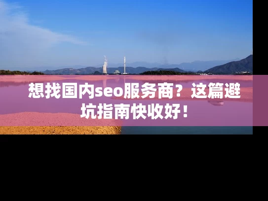 想找国内seo服务商？这篇避坑指南快收好！