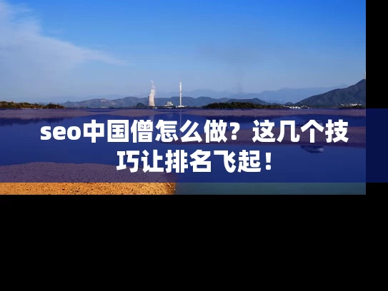 seo中国僧怎么做？这几个技巧让排名飞起！