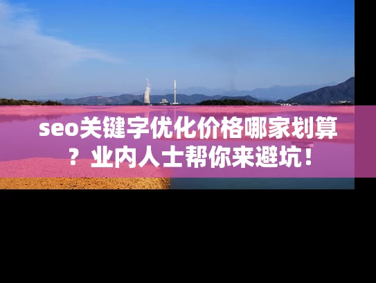 seo关键字优化价格哪家划算？业内人士帮你来避坑！