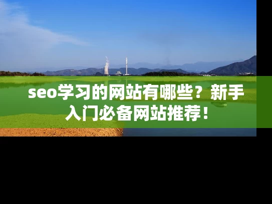 seo学习的网站有哪些？新手入门必备网站推荐！