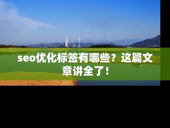 seo优化标签有哪些？这篇文章讲全了！