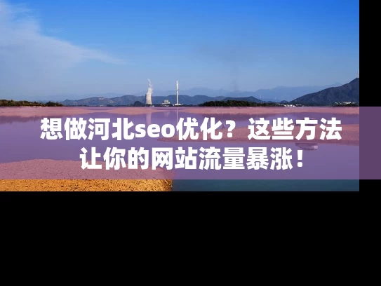 想做河北seo优化？这些方法让你的网站流量暴涨！