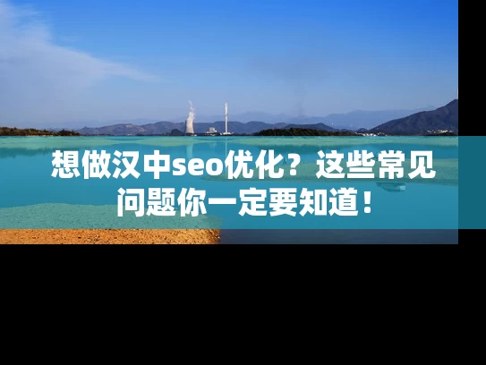 想做汉中seo优化？这些常见问题你一定要知道！