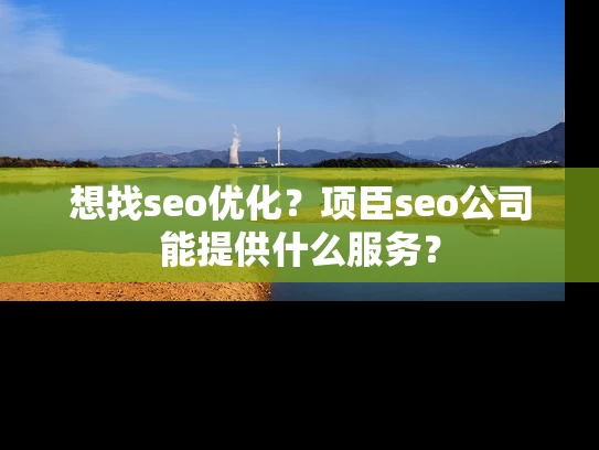 想找seo优化？项臣seo公司能提供什么服务？