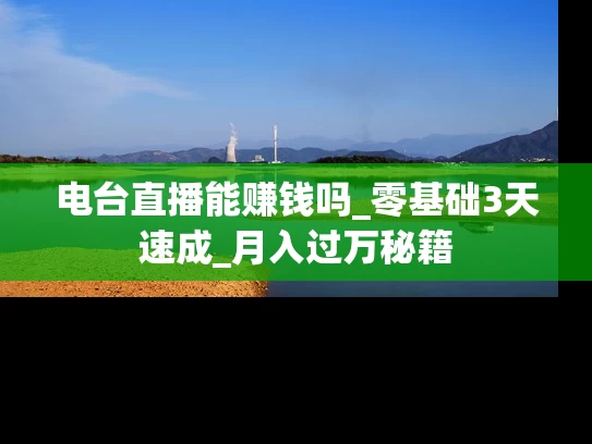 电台直播能赚钱吗_零基础3天速成_月入过万秘籍