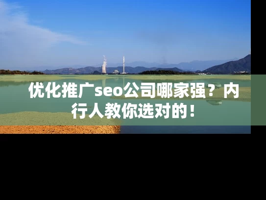 优化推广seo公司哪家强？内行人教你选对的！