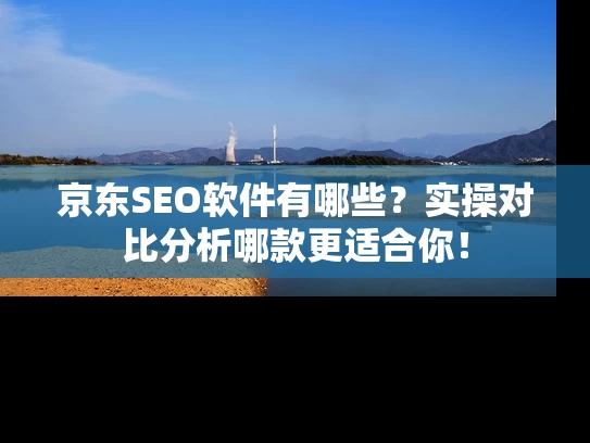 京东SEO软件有哪些？实操对比分析哪款更适合你！
