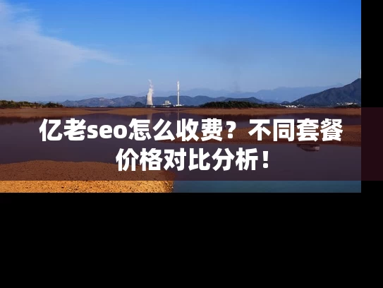 亿老seo怎么收费？不同套餐价格对比分析！