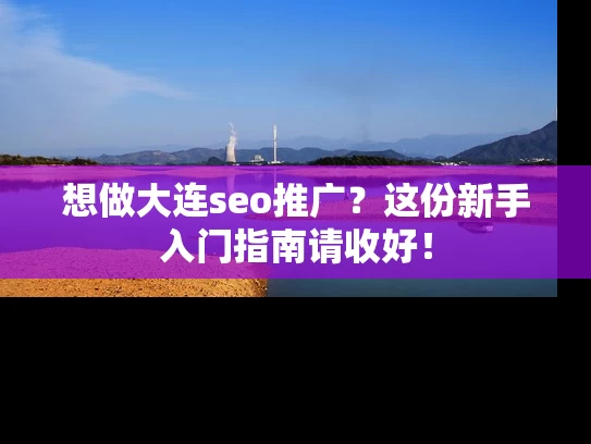 想做大连seo推广？这份新手入门指南请收好！