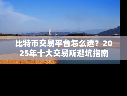 比特币交易平台怎么选？2025年十大交易所避坑指南