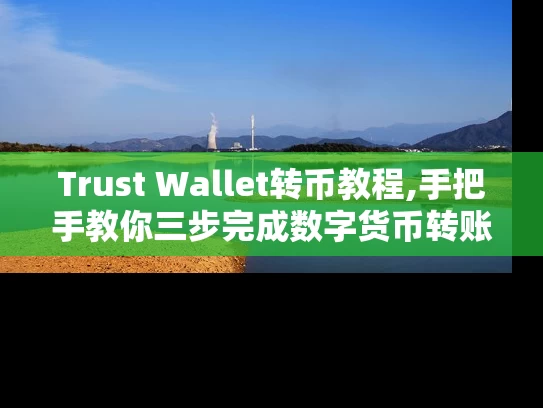 Trust Wallet转币教程,手把手教你三步完成数字货币转账