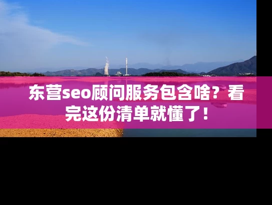 东营seo顾问服务包含啥？看完这份清单就懂了！