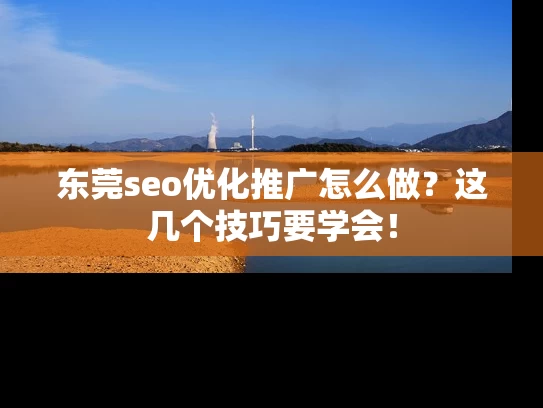 东莞seo优化推广怎么做？这几个技巧要学会！