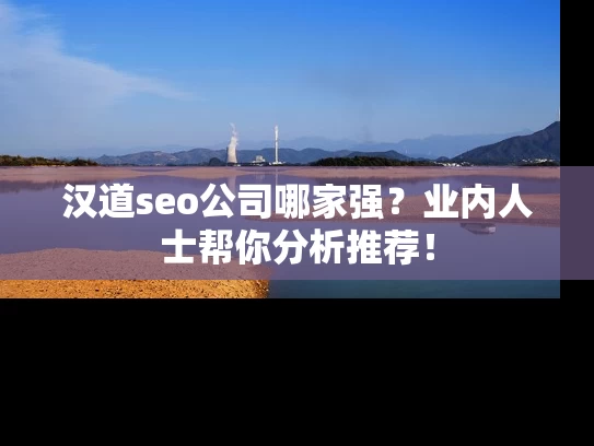 汉道seo公司哪家强？业内人士帮你分析推荐！