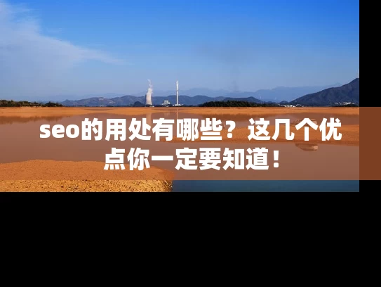 seo的用处有哪些？这几个优点你一定要知道！
