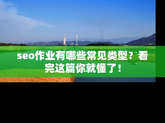 seo作业有哪些常见类型？看完这篇你就懂了！