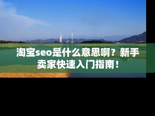 淘宝seo是什么意思啊？新手卖家快速入门指南！