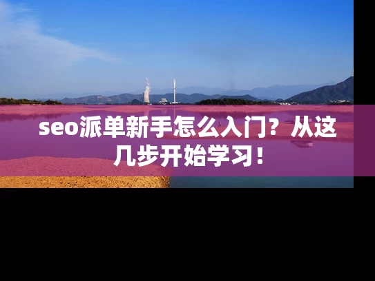seo派单新手怎么入门？从这几步开始学习！