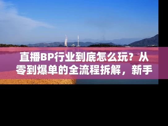 直播BP行业到底怎么玩？从零到爆单的全流程拆解，新手必看指南