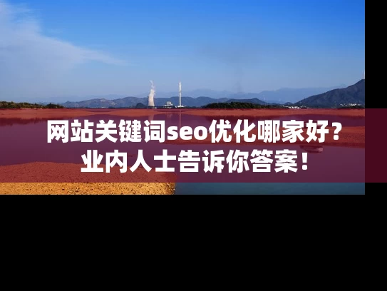 网站关键词seo优化哪家好？业内人士告诉你答案！