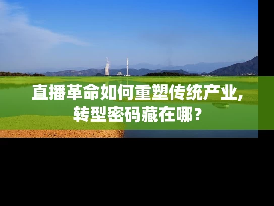 直播革命如何重塑传统产业,转型密码藏在哪？