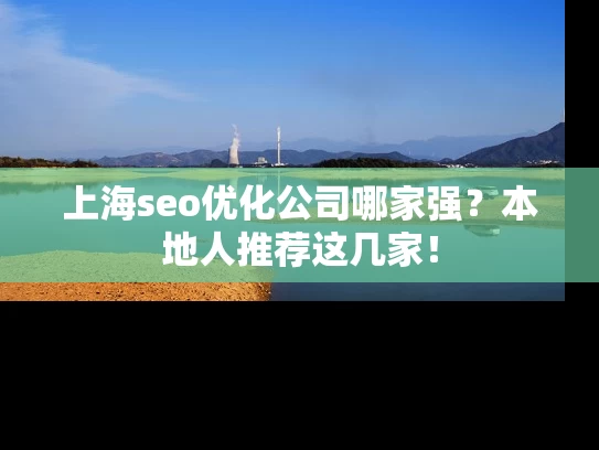 上海seo优化公司哪家强？本地人推荐这几家！