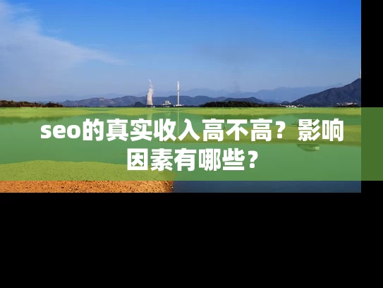 seo的真实收入高不高？影响因素有哪些？