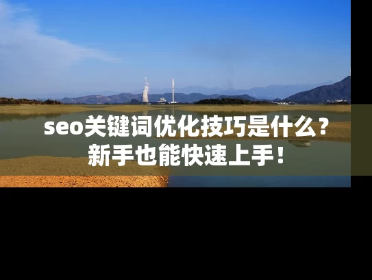 seo关键词优化技巧是什么？新手也能快速上手！