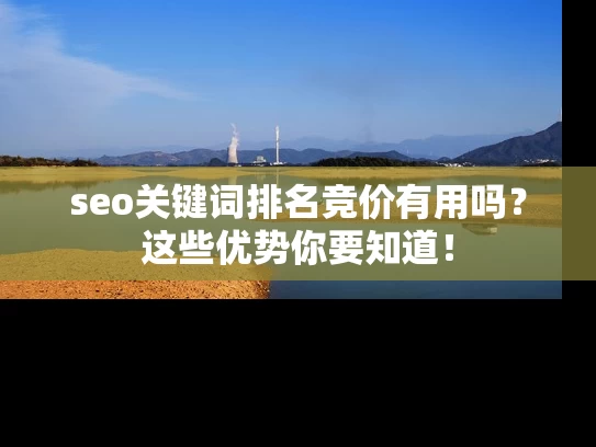 seo关键词排名竞价有用吗？这些优势你要知道！