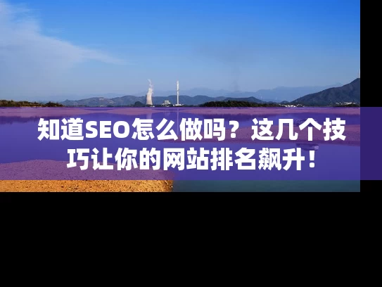 知道SEO怎么做吗？这几个技巧让你的网站排名飙升！