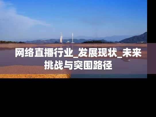 网络直播行业_发展现状_未来挑战与突围路径